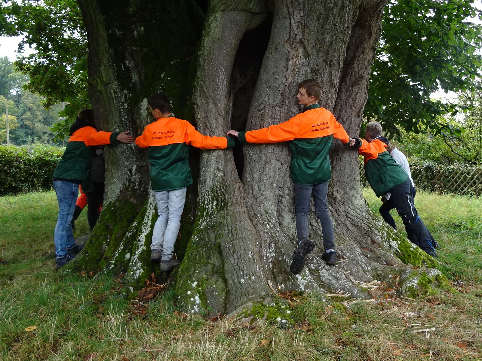  Schüler bilden eine Kette um einen Baum - das Bild wird mit Klick vergrößert. 